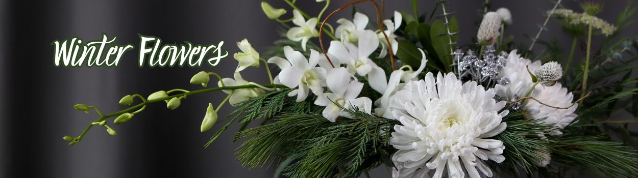 Flower Delivery to Loveland by Palmer Flowers Loveland